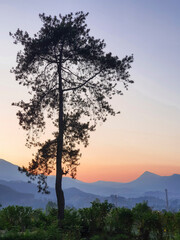 A natural view of Cikole Camping Park, Bandung, Indonesia, a perfect camping destination. 