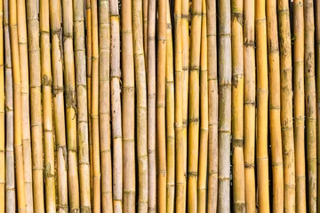 Foto op Canvas Texture yellow bamboo fence wall background © bubbers