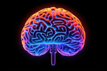 Fototapeta premium Meninges envelop brain, protected by skull. Cerebrospinal fluid (CSF) cushions and nourishes brain, blood-brain barrier. Cranial nerves, complex human mind central nervous system