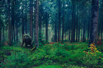 misty evergreen forest with monster