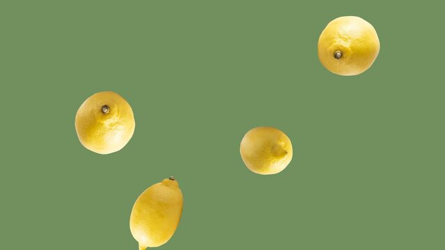 Lemon falling isolated on white background. 4K video illustration.