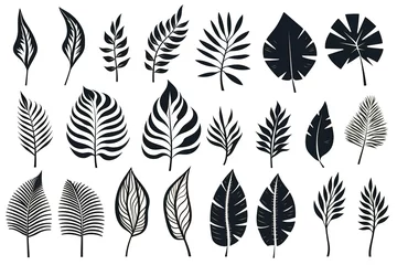 Fotobehang Set of tropical leaves silhouettes. Collection palm leaves. Jungle exotic leaves and botanical plants. Vector illustration. Generative Ai © mahaart