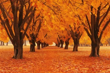 Papier Peint photo Brique Autumn landscape with yellow trees and road in the park
