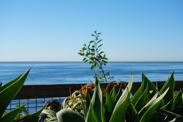 Breathtaking scenic and landscape view of coastline of Rancho Palos Verdes with vegetation and...