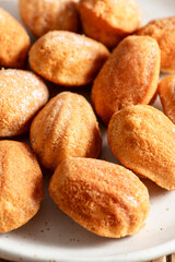 Front view of a group of madeleines (madeleines or petit madeleines). Typical and soft French shell-shaped sweets