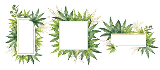 Set with watercolor frames made of green and gold cannabis leaves. Rectangular frames are made on a transparent background - obrazy, fototapety, plakaty