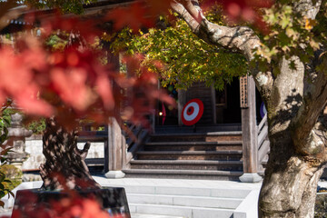 日本　神社　紅葉