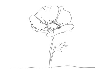 Poppy flowers continuous one line vector art illustration and single outline simple flower design