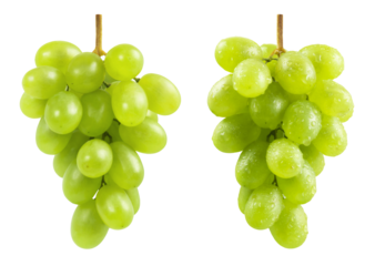 Green grapes isolated. Two bunches of ripe green grapes with and without drops of water on a transparent background.