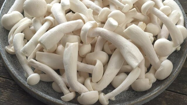 Store-bought fresh bunapi-shimeji mushrooms on a plate.  Table spin.