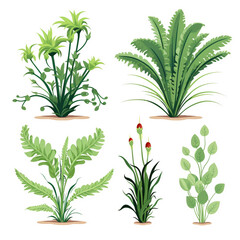 vector illustration of ornamental plants isolated on a white background,in different poses