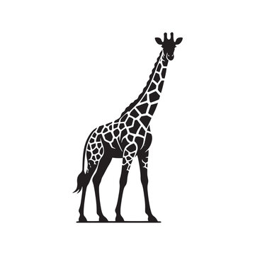 Whispering Grasslands: Giraffe Silhouettes Telling Stories in the Gentle Breeze of the African Plain - Giraffe Illustration - Giraffe Vector
