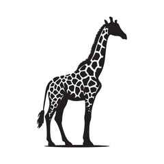 Obraz premium Whispering Treetops: Giraffe Silhouettes Navigating the Canopy, Silently Sharing Secrets of the Savannah - Giraffe Illustration - Giraffe Vector 