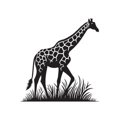 Twilight Serenity: Giraffe Silhouette Set Bathed in the Tranquil Hues of the African Sunset - Giraffe Illustration - Giraffe Vector

