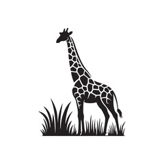 Ethereal Giants: A Radiant Ensemble of Giraffe Silhouettes Standing Tall in the African Twilight - Giraffe Illustration - Giraffe Vector
