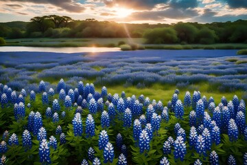 Beautiful bluebonnets along a lake in the Texas Hill Country.