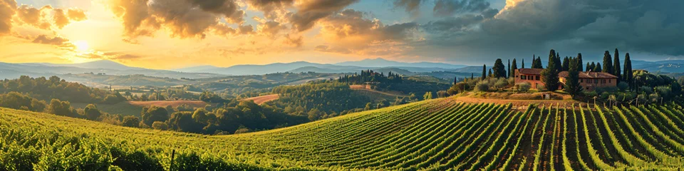 Foto op Plexiglas Toscane Panoramic view of Tuscan vineyards at sunset. Rolling hills, farmhouse, and grapevines. Wine tourism and rural landscape concept for poster and banner 