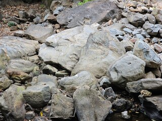 rocks in the water