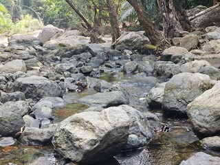 Naklejka na ściany i meble Rocks valley in the mountain river, Palakkad, Kerala,India. 