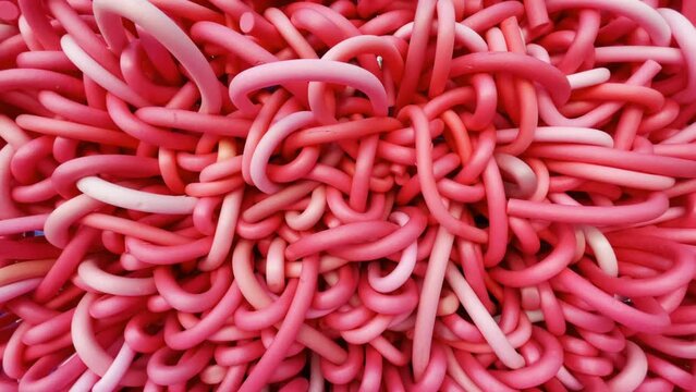 Closeup footage of vibrant tangle of red rubber tubes creating an abstract texture