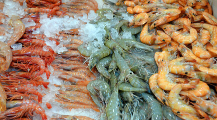 Frische Speisefische auf dem Fischmarkt in Danzig