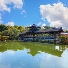 Fototapeta premium Heian Jingu Garden during full bloom cherry blossom in Heian Shrine, Kyoto, Japan