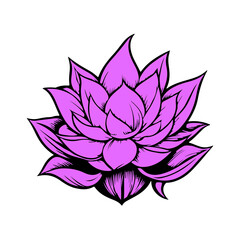 Fototapeta premium pink lotus flower