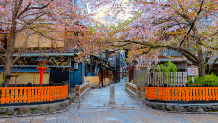 Fototapeta premium Tatsumi bashi bridge in Gion district with full bloom cherry blossom in Kyoto, Japan