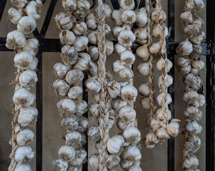 dried garlic on ropes against the wall