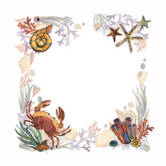 Watercolor illustration with underwater inhabitants, shells and algae.