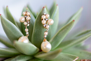 aretes, aro, perla, belleza, macro, zoom, dorado, dorada, adorno, regalo, objeto, nuevas, brillante, plata, bodegón, verde, novia