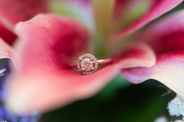 Anillas, anillo, alianzas, oro, par, dos, pareja, compromiso, metal, plata, boda, anillas, dorada, amor, simbólico