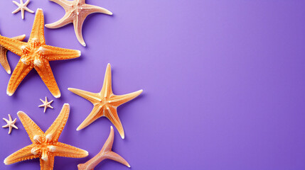 Fototapeta na wymiar Starfish on the purple background with free