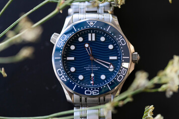 reloj, reloj pulsera
