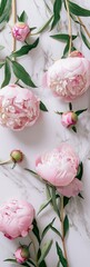 A lot of buds of beautiful fresh peonies lie on a light milky Cyclorama by frame, top view, elegance, aesthetic, with blank space in the center