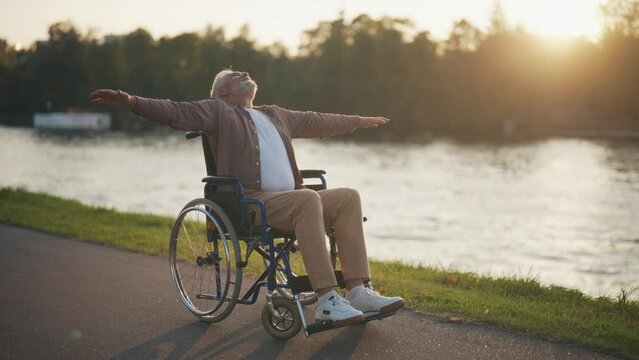 Senior man in wheelchair enjoys freedom. Paralysis male with special need spreading arms on sides relaxed breathing fresh air walking in city park. Living with physical disability in old age concept.