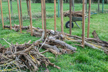 Benjeshecke aus Totholz im Garten selber bauen
