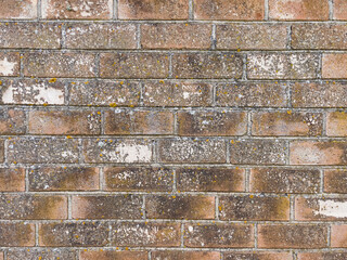brick wall texture background