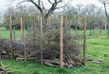 Benjeshecke aus Totholz im Garten selber bauen