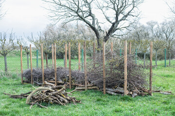 Fototapete bei efototapeten.de bestellen   