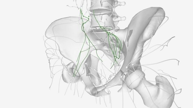 These are broadly referred to as mesenteric lymph nodes and, more specifically, ileocolic .