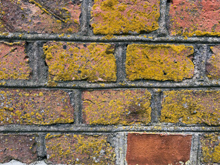 old brick wall texture