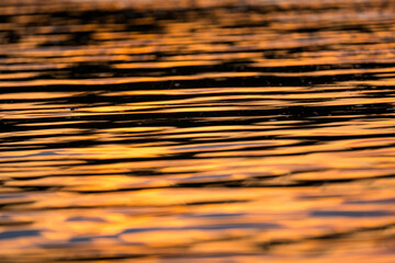 Golden reflection of sunset in the lake of Okavango Delta