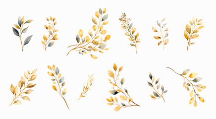 Foliage collection of golden branches.
Watercolor botanical design elements for greeting, birthday, baby shower, wedding invitation cards, mother's day