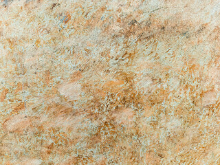 A contemporary urban wall serves as a distinctive background frame