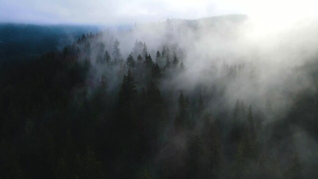 flying drone over the cloudy fog haze of the Black Forest in southern Germany. Black forest View from Mount Blauen to Belchen.