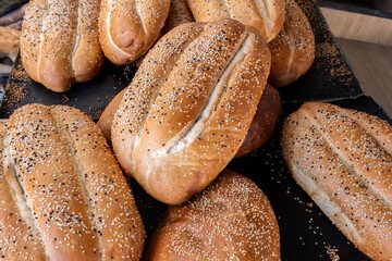 Fresh caucasian sesame bread for sale at local farmers market - 718796313
