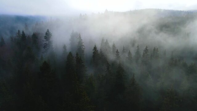 flying drone over the cloudy fog haze of the Black Forest in southern Germany. Black forest View from Mount Blauen to Belchen.