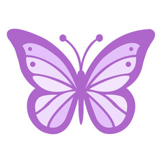 illustration of a butterfly