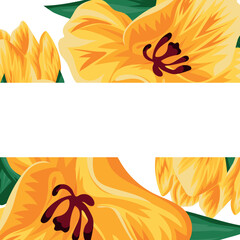 template for holiday card or invitation in floral style of open yellow tulip buds and closed tulip buds with green leaves and empty rectangle for greeting text on white background, vector